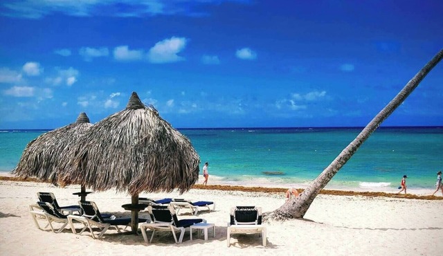 Ark Villa is located 2 minutes from Downtown Punta Cana.