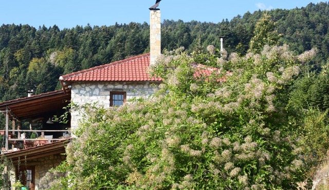 Arli House