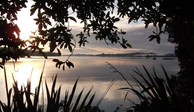 Aroha Island