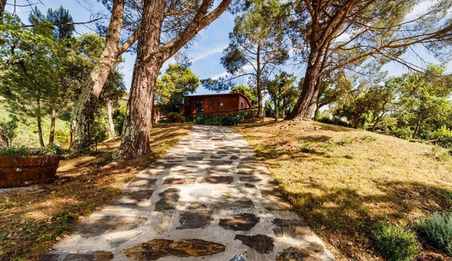 Arrabia Bunga Douro - Madeira House with Pool