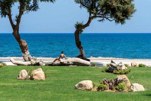 Artemis Villa, Beachfront Retreat with Heated Pool, By ThinkVilla