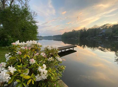 Artvilla am See