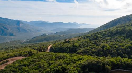 Aselinos Forest Estate