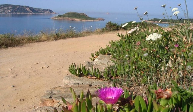 Asfoldelia: holiday, sea and relax in elegant apartment