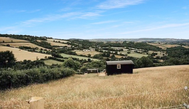 Ash Shepherd's Hut, Wiveliscombe