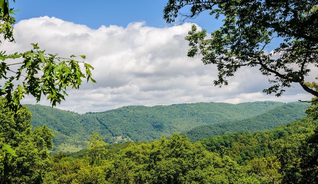 Asheville Lodge- Sleeps 11-21 With Hot Tub!
