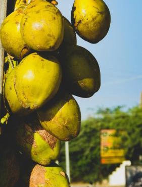 Assagaon Studio at Kiara Homes