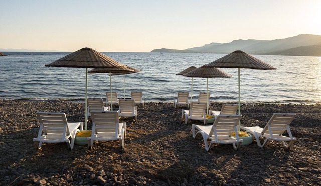 Assos Anemoia