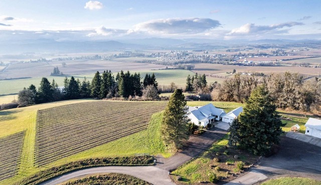 Astounding Panoramic Vineyard and Valley Views, 3 Bedrooms w/En-Suite Baths, Bocce Ball, Fire-Pit