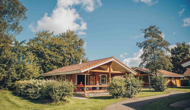 Atmospheric 6-person chalet in Scandinavian style on a green park in the Vechtdal. Affordable enjoyment of nature and tranquillity.