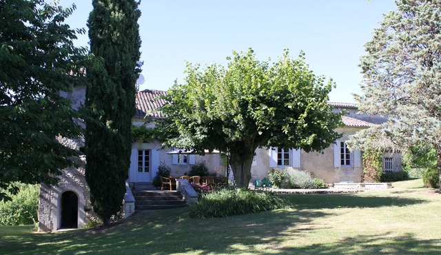 Atmospheric chartreuse with large swimming pool.