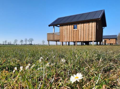 Atmospheric lodge with unobstructed view located in beautiful Drenthe