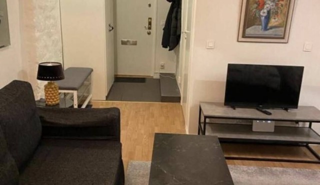 Attic Floor in Stockholm City 918