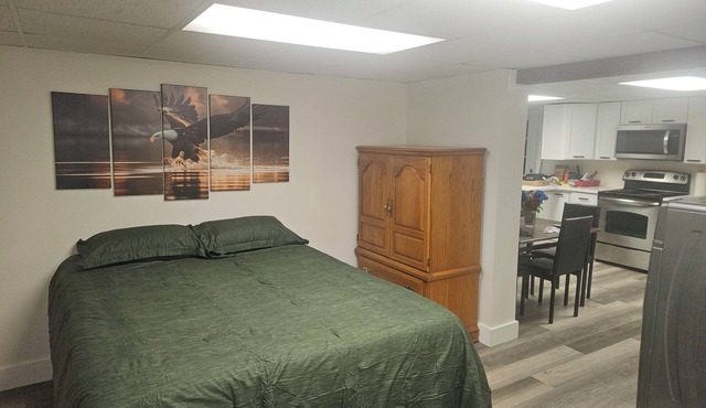 Attractive Lower Level Guest Suite with Private Entrance