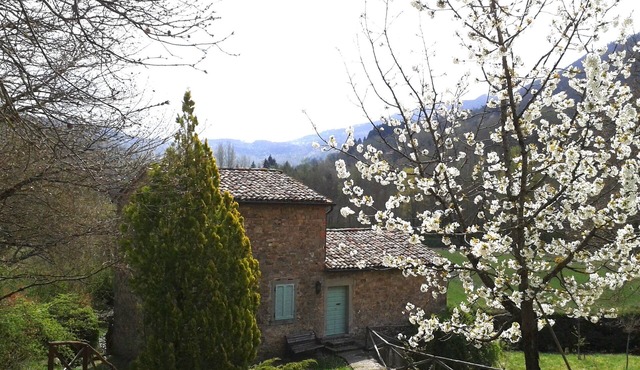 Attractive Renovated Stone Mill House, Lovely Private Pool, Sleeps Max 5 People.