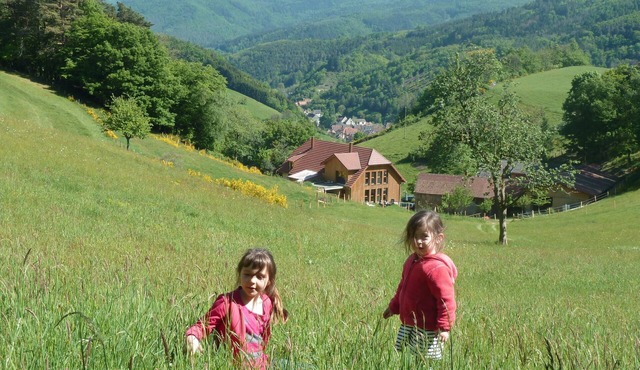 Au Centre de L'alsace et Déjà Dans les Vosges B
