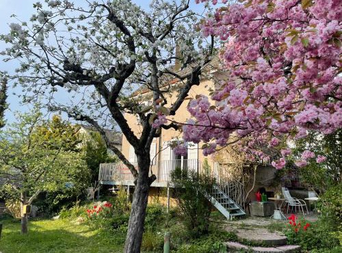 au jardin