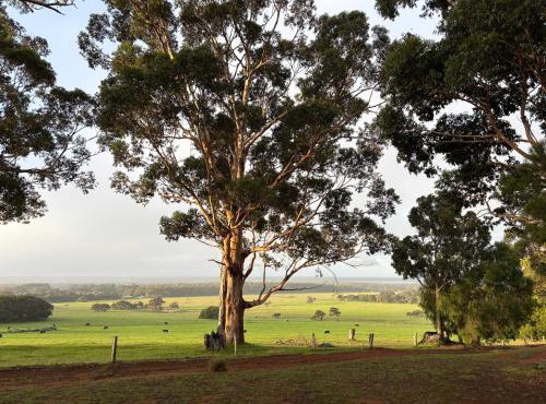 Augusta Sheoak Chalets