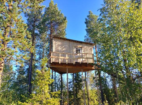 Aurora Lodge