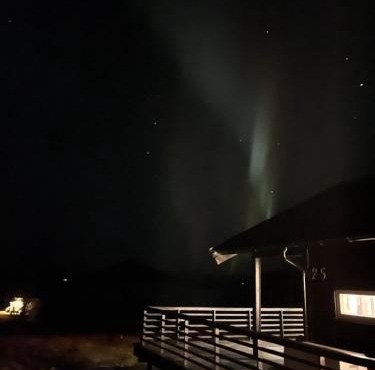 Aurora woods