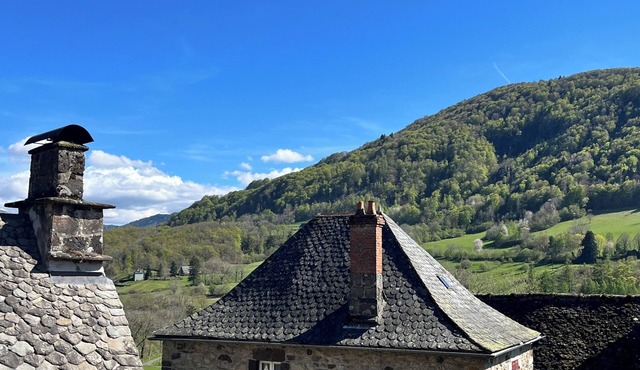 Authentic Cantalien house with garden and view of Puy Mary