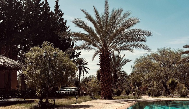 Authentic castle in the south of Morocco located in the Palmeraie of Skoura.