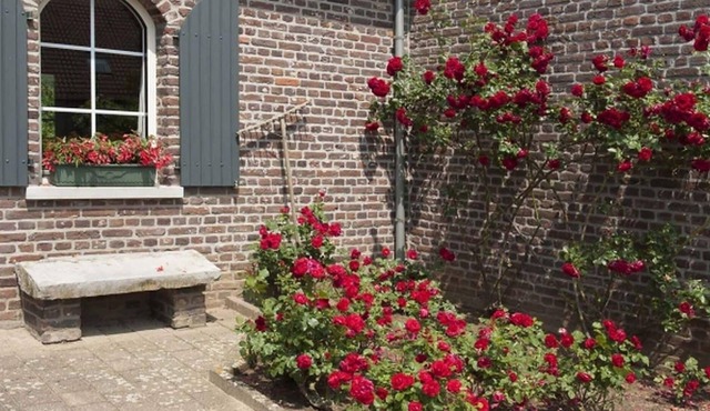 Authentic Holiday Home in Baarlo with Private Terrace