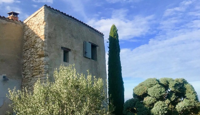 Authentic House -
