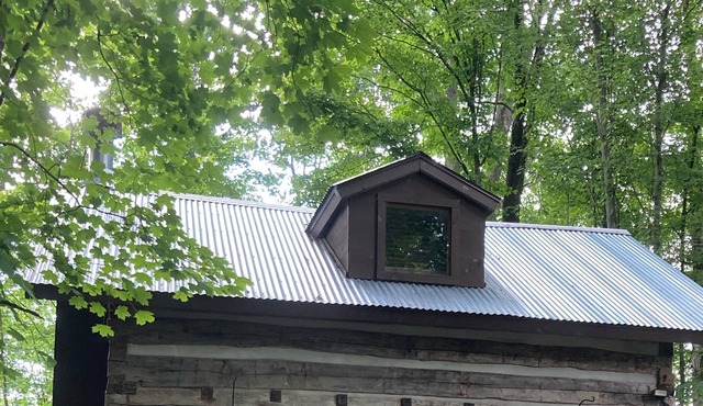 Authentic Log Cabin with working wood burning fireplace
