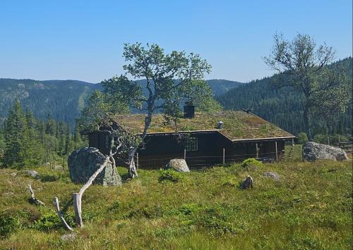 Authentic Secluded Mountain Gem in Telemark