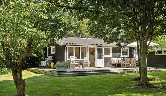 Authentic wooden house with wild garden