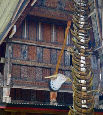 Authentique Homestay