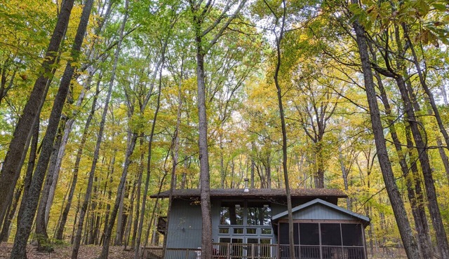 Autumn Wings -wifi, screen porch, pool access, hiking, family friendly