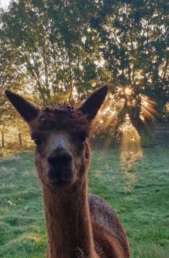 Aux murmures de la nature B&B