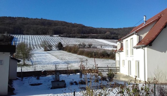 Aux vignes