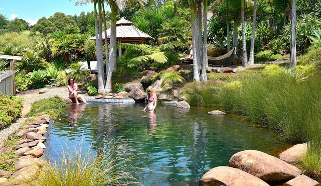 Avalon Resort