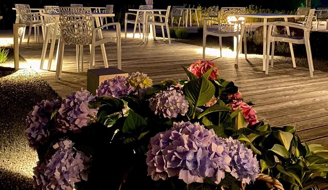 Avaneo Hotel Marktredwitz
