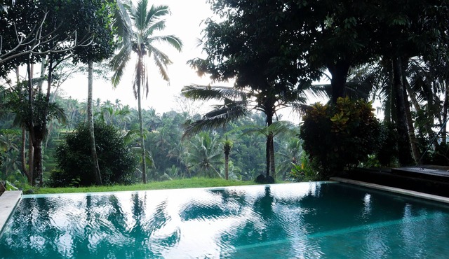 Aventus Resort Ubud