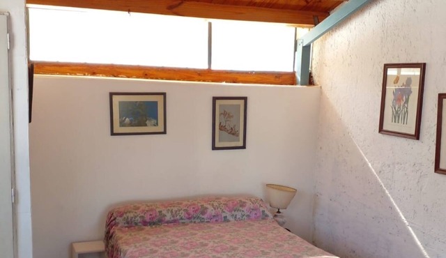 AVENUE APARTMENT
