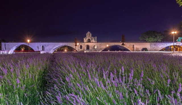 AVIGNON VILLA CLIM, COMFORT AND QUIET, LARGE SECURE PARKING.