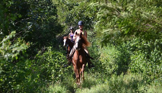 Award-winning Private Classic Horseback Ride