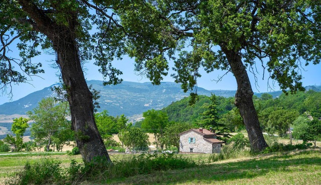 Awesome home in Montegrimano Terme PU