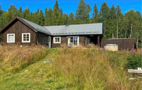 Awesome Home In Trysil With Sauna