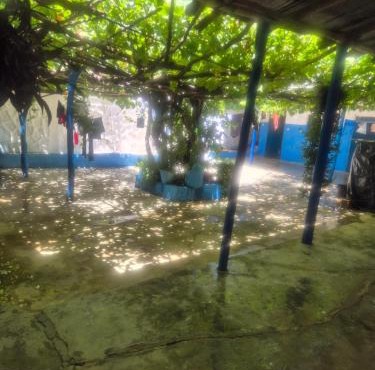 aZarif