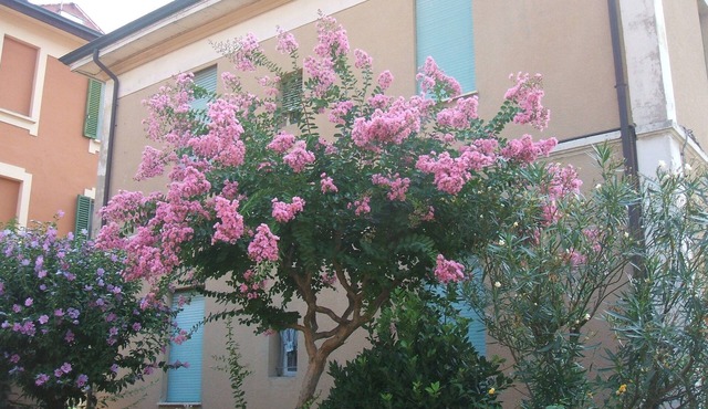 B&B Accorsi