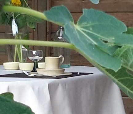 B&B Bergdal