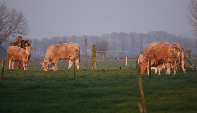 B&B Bij Bronckhorst