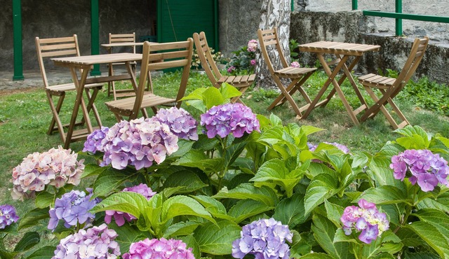 B&B Ca' d'Ambra