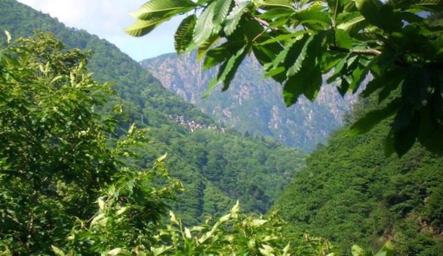 B&B CA' DEL PITUR CICOGNA