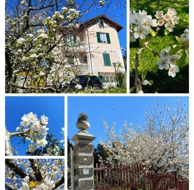 b&b Casa Galletti